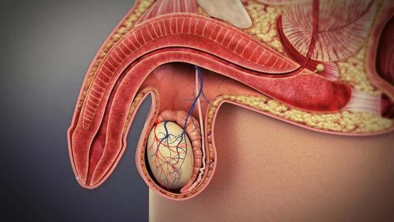 أفضل دكتور أشعة تداخلية | الأشعة التداخلية | مركز الأشعة التداخلية