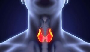 أفضل دكتور أشعة تداخلية | الأشعة التداخلية | مركز الأشعة التداخلية